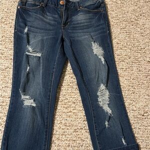 Distressed Blue Jeans (New)